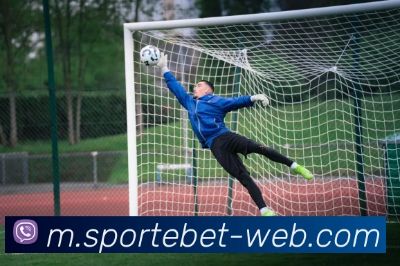 易倍体育平台生态图