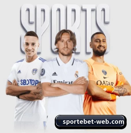 易倍体育 APP | EMCSPORTS